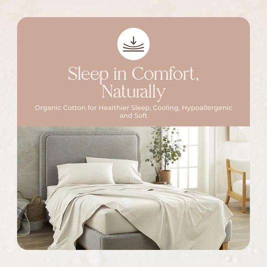 Organic Cotton Queen Pillowcase Set