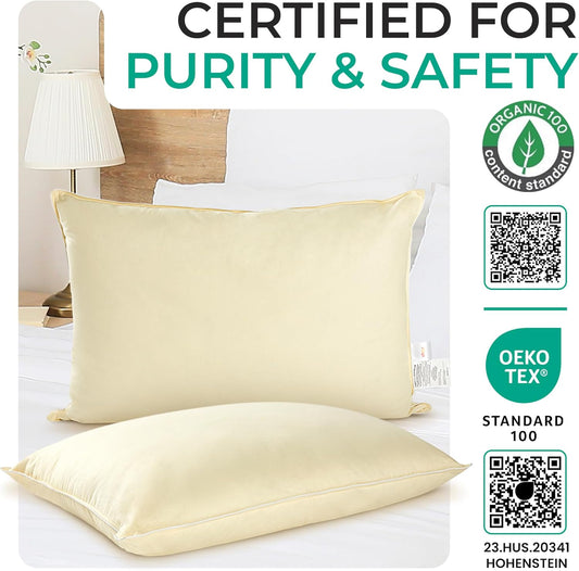 Cheer Collection Organic Kapok Bed Pillows – Set of 2