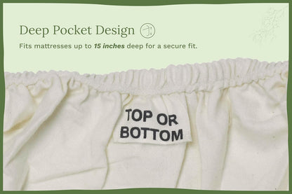 Organic Cotton Queen Sheet Set