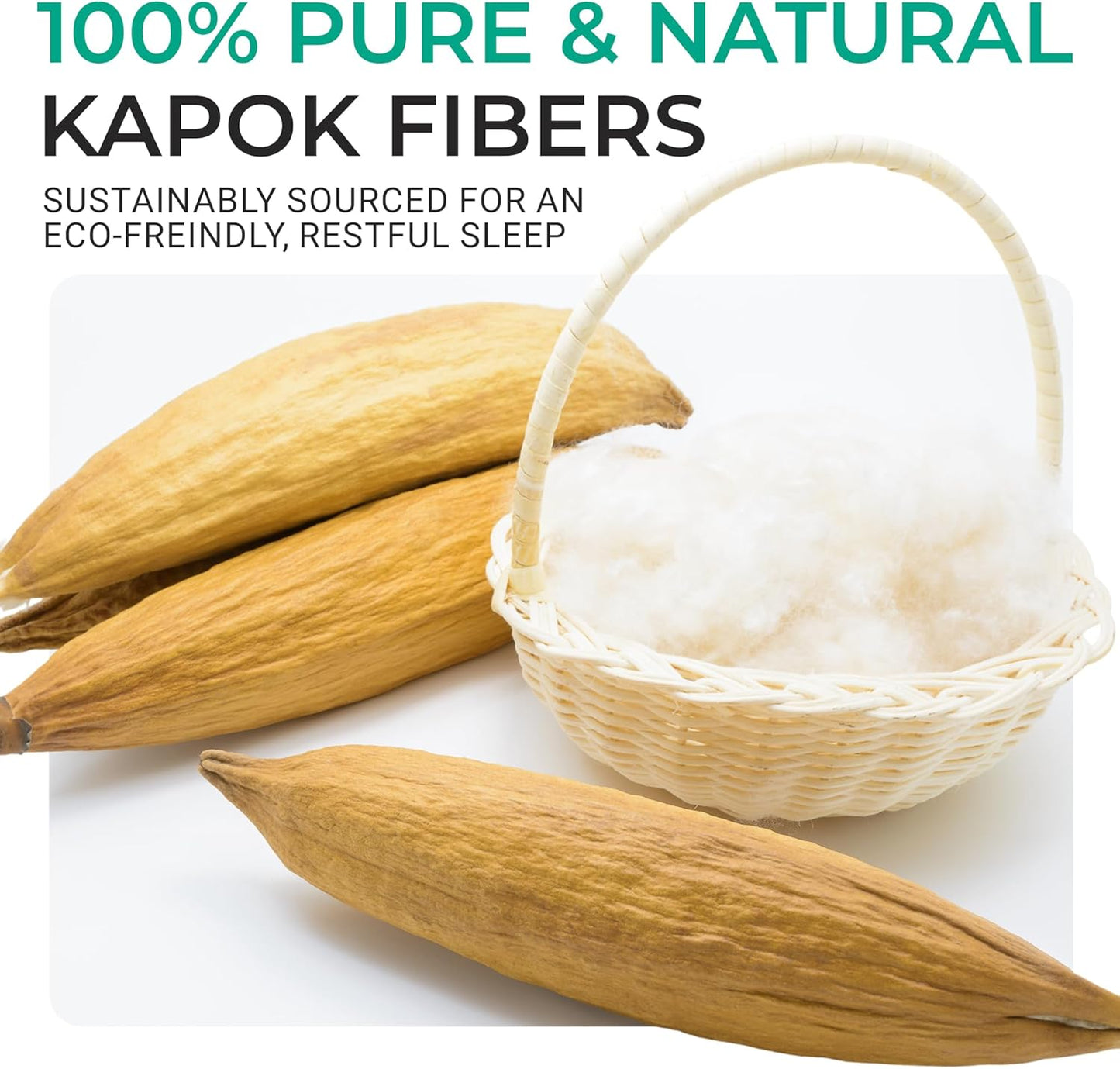 Cheer Collection Organic Kapok Bed Pillows – Set of 2