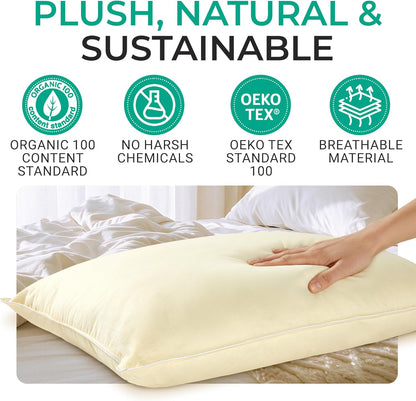 Cheer Collection Organic Kapok Bed Pillows – Set of 2