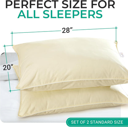 Cheer Collection Organic Kapok Bed Pillows – Set of 2